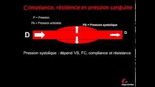 La circulation sanguine et la pression artérielle [upl. by Oruasi]