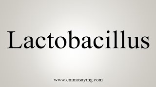 How To Say Lactobacillus [upl. by Neelrac]