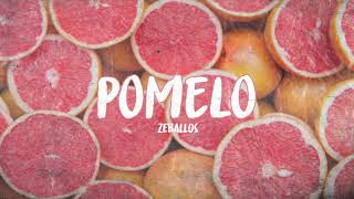 POMELO  ZEBALLOS [upl. by Vally]