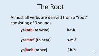 Libyan Arabic Verbs 1  the root جذر الفعل [upl. by Graubert310]