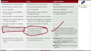 Gastroenterology Basics Davidsons Principles and Practice of Medicine  FCPS  MRCP MD [upl. by Photina]