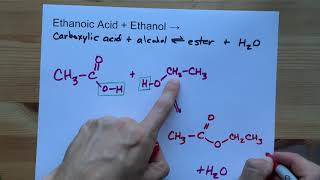 Ethanoic Acid  Ethanol   Ester Reaction [upl. by Nairda]