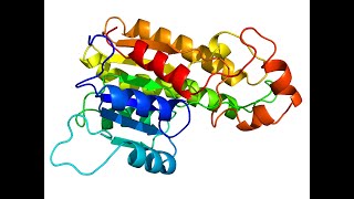 STEP BY STEP GUIDE HOW TO DO HOMOLOGY MODELING USING SWISS MODEL [upl. by Doug]