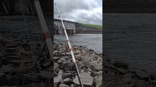 Paddlefish Snagging In Nashville Tennessee freshwaterfish fishspecies [upl. by Nasya817]