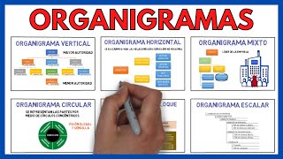 ORGANIGRAMA de una EMPRESA y sus TIPOS 🌃  Economía de la Empresa 146 [upl. by Earej]