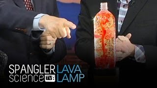 Lava Lamp  Cool Science Experiment [upl. by Aciamaj]