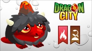 Dragon City  Getting Volcano Dragon 100 No Hack [upl. by Ailecec]