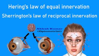 Herings law of Equal innervation and Sherringtons law of reciprocal innervation  Ocular Laws [upl. by Esetal]