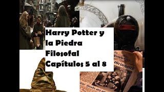 Audiolibro HP y La Piedra capítulo 5 al 8 [upl. by Auqeenwahs]