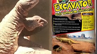 New Uromastyx Habitat Initial Setup Using Excavator Substrate [upl. by Bandur]