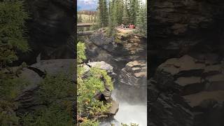 Athabasca RiverMistaya Canyon Banff Alberta nationalpark [upl. by Mohn869]