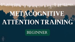 Beginner 6  Attention Training Technique ATT  Metacognitive Therapy MCT [upl. by Meerak]