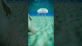 How A Jellyfish Actually Stings You 😱  Melon Playground jellyfish [upl. by Otrevogir]