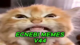 ECNEBI MEMES V44 [upl. by Parsons]