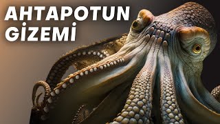 Neden Doğanın En Gelişmiş Yaratıkları Ahtapotlardır [upl. by Elfont377]