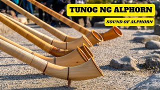 Tunog ng ALPHORN  Sound of ALPHORN [upl. by Gnivre437]