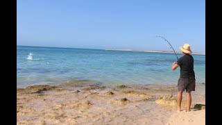 016 Zane a Pom in Aus Fishing Mesa Ningaloo [upl. by Rotman]