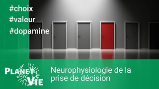 Neurophysiologie de la prise de décision [upl. by Adur]