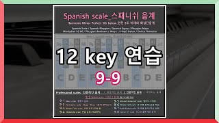 Professional전문적인 음계  99 Spanish scale 스패니쉬 스케일 스패니쉬 음계  Hmp   Mixolydian b9 b13 [upl. by Guerin]