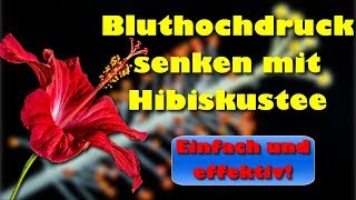 Bluthochdruck senken mit Hibiskustee [upl. by Allenrad]