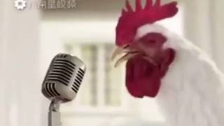 2017 Year Of The Rooster Song By JGeco 🎤🐔 [upl. by Fancy]