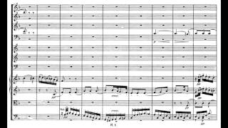 Beethoven Symphony no 1 in C major op 21 [upl. by Guyer]