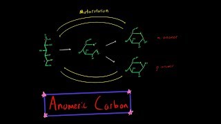 What Are Anomers  ll Formation of Alpha and Beta anomers [upl. by Luthanen810]