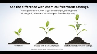 What Is Vermiculture Why is it Important And How does it Work [upl. by Lietman63]