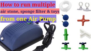 How To Run Multiple Air Stone Sponge Filter And Toys From One Air Pump [upl. by Annuahsal]