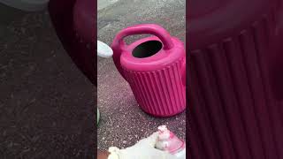 DIY Berry Pink Watering Can [upl. by Florentia]