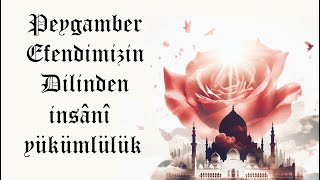 Hadislerden Seçmeler quotMükellefiyetquot İnsani Yükümlülük [upl. by Yaeger]