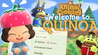 My First Month In Animal Crossing New Horizons [upl. by Benton]