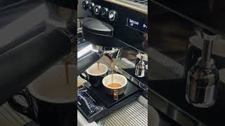 Brewing with allegra lyra latteart barista coffee [upl. by Ahrendt]