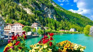 Peaceful morning walk in Swiss Town INTERLAKEN Switzerland🇨🇭 [upl. by Strang]