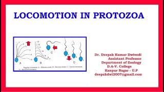 Locomotion in Protozoa [upl. by Nuahsel]