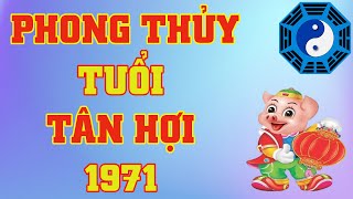 Phong Thủy Tuổi Tân Hợi 1971 [upl. by Ursuline]