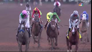 Arrogate Career Highlights [upl. by Alleyne319]