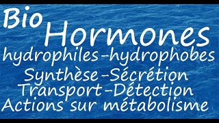 Hormones hydrophiles et hydrophobes [upl. by Norrej]