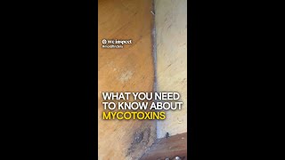 What You Need to Know About Mycotoxins [upl. by Emmuela]