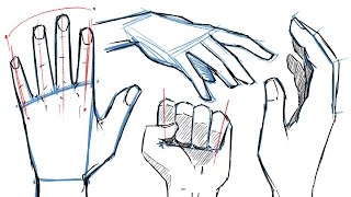 How to Draw HANDS and HAND POSES [upl. by Leoine]