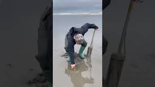 Razor Clamming on the Washington Coast [upl. by Veradi]