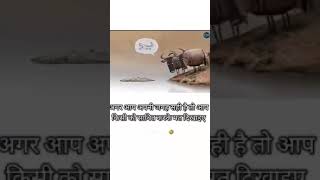 आपसहीहोतोउसेकिसीकोसाबितकरकेमतदिखाओreal🤣viralvideofunny aadishortscartooncomedy [upl. by Adnarb]