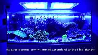 DaniReef presenta Acquario marino  alba e tramonto  Sicce GNC AM466 Led [upl. by Alakcim931]