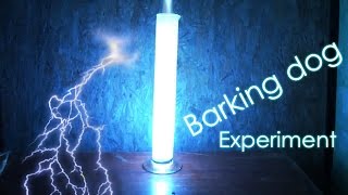 Barking Dog Chemical Experiment  Cool chemical reaction [upl. by Imhsar90]