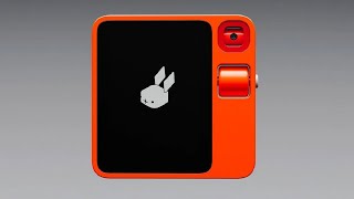 New Rabbit R1 review in 2024 [upl. by Terza]