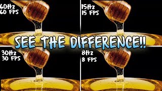 Difference in Framerates  60FPS vs 30FPS vs15FPS vs 8FPS Full HD [upl. by Argella]