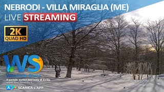 🔴 Portella Femmina Morta live webcam Nebrodi  Panoramica Villa Miraglia [upl. by Yesoj407]