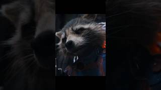 Who Is Rocket 🚀🦝 shorts marvel subscribe [upl. by Hedvah163]