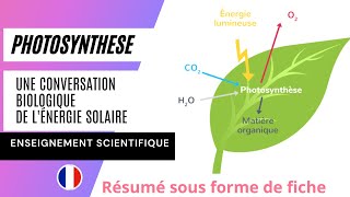 Résumé du chapitre 6  la Photosynthese une conversion biologique de lénergie solaire [upl. by Mikol]