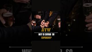 Why is caviar so expensive joehattab caviar [upl. by Orian]